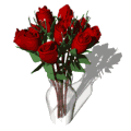 wp506bdfb4.gif