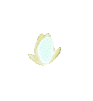 wp5d3b9840.gif